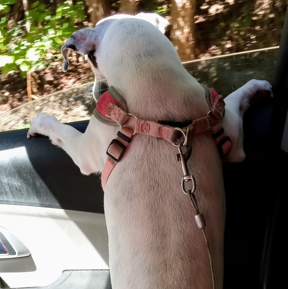 Meet your Posher, Michelle - Picture 16 of 16